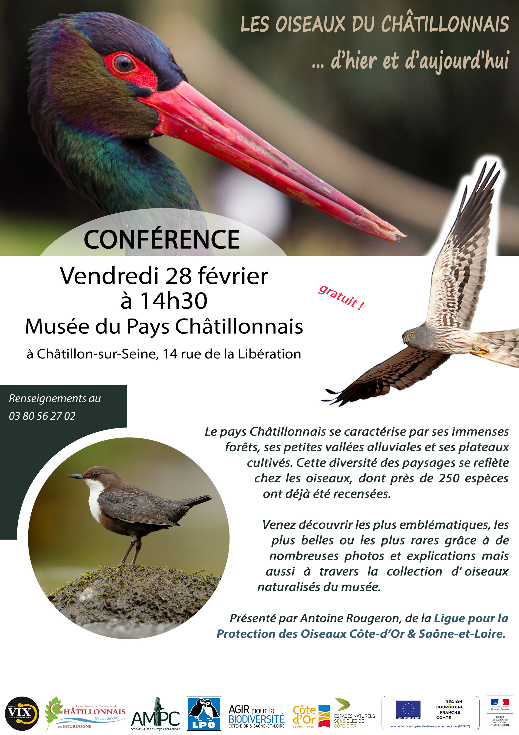 Conférence Oiseaux du Châtillonnais Conférence Oiseaux du Châtillonnais